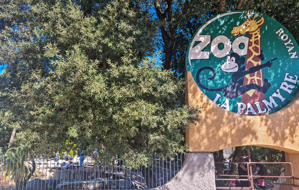 Feriehuse - Le Grand-Village-Plage , Frankrig - FCH238 24