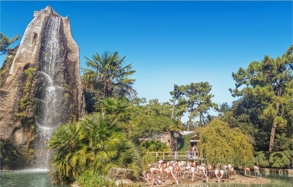 Ferienhaus - Mortagne sur Gironde , Frankreich - FCH288 28