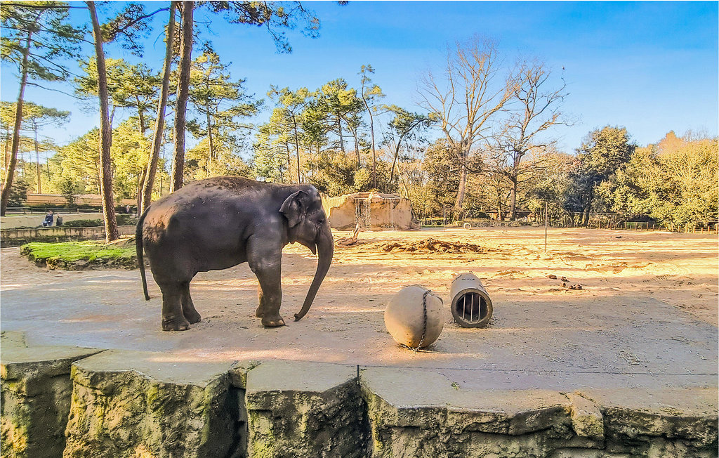 Ferienhaus - Mortagne sur Gironde , Frankreich - FCH288 29