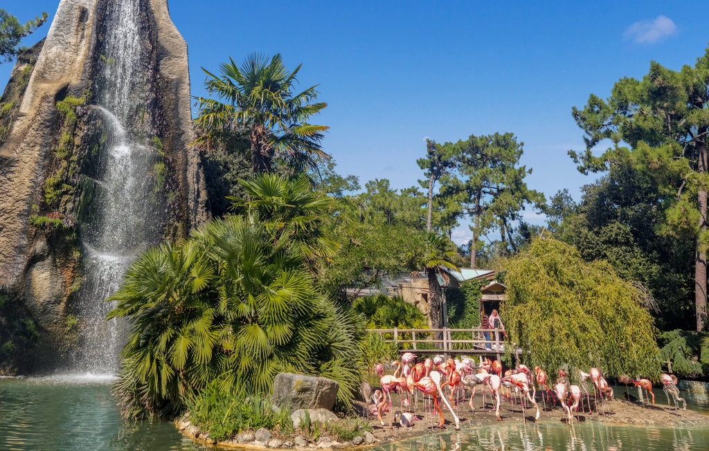 Lejlighed - La Rochelle , Frankrig - FCH321 21