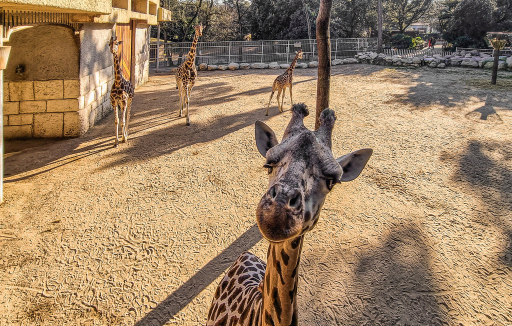 Lejlighed - La Rochelle , Frankrig - FCH321 22