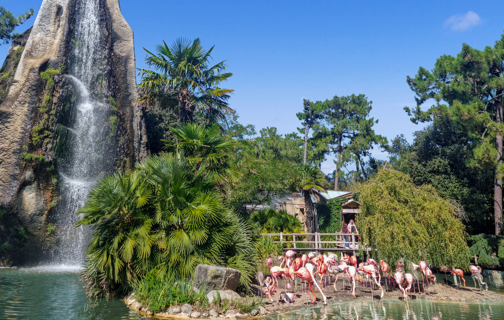 Ferienhaus - Saint Pierre la Noue , Frankreich - FCH323 31