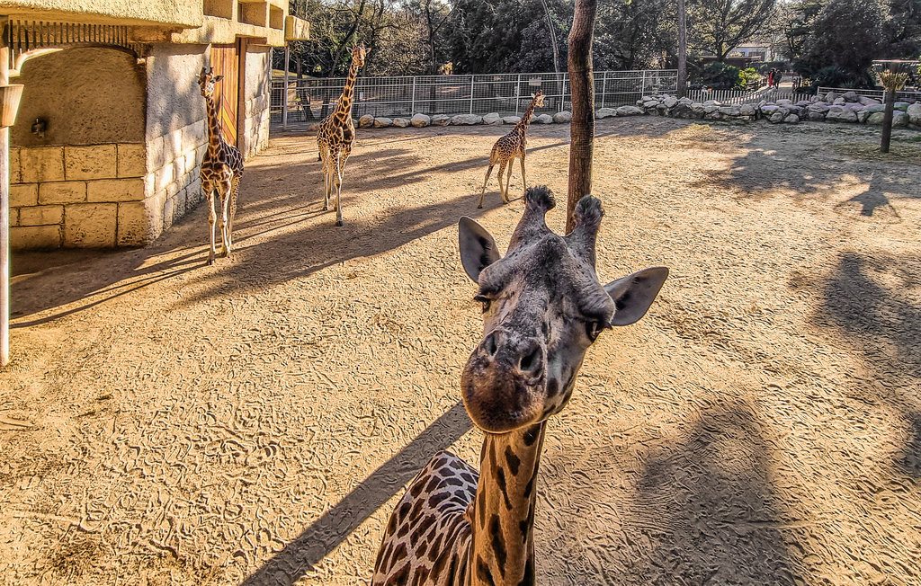 Ferienwohnung - Royan , Frankreich - FCH297 20
