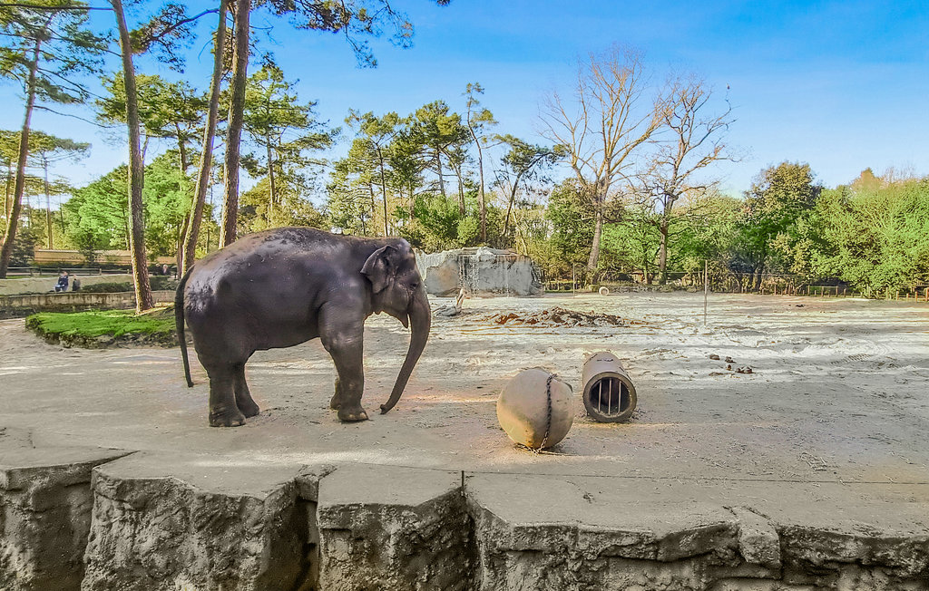 Ferienwohnung - Royan , Frankreich - FCH297 21
