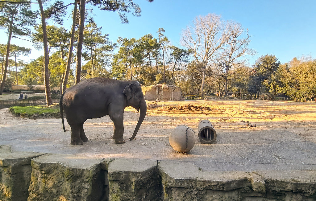 Appartement - Saint-Georges-de-Didonne , France - FCH331 31