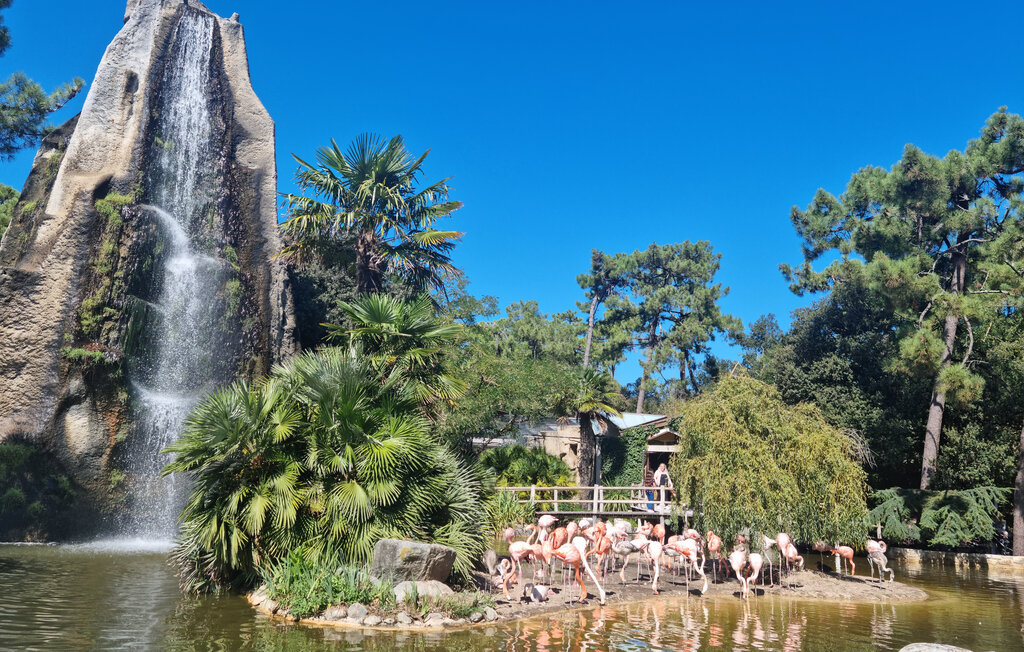 Ferienhaus - Royan , Frankreich - FCH377 24