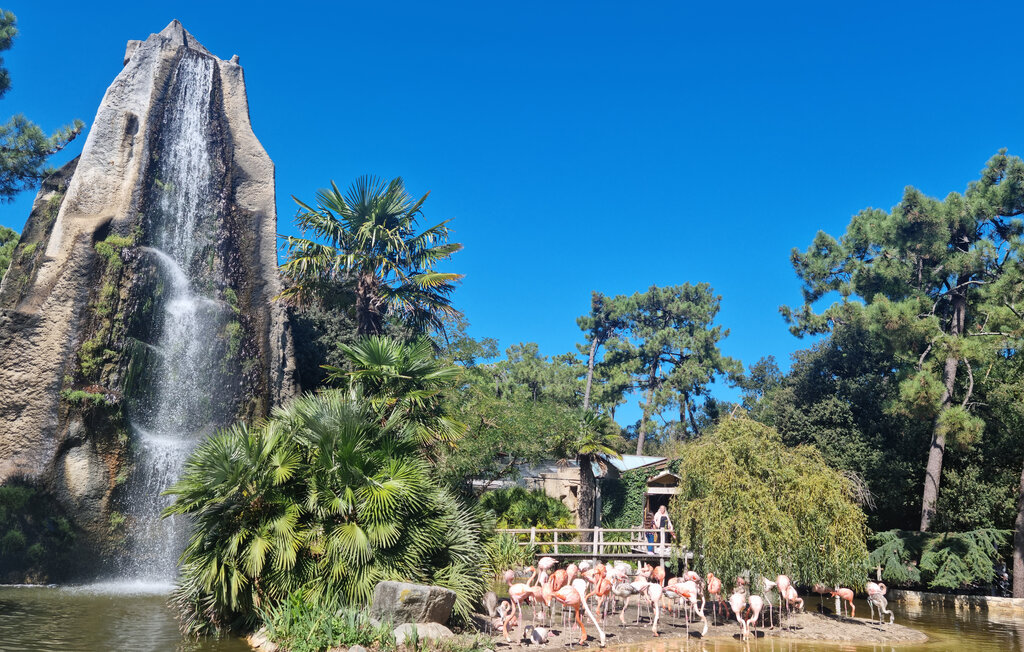 Ferienhaus - La Palmyre , Frankreich - FCH379 21