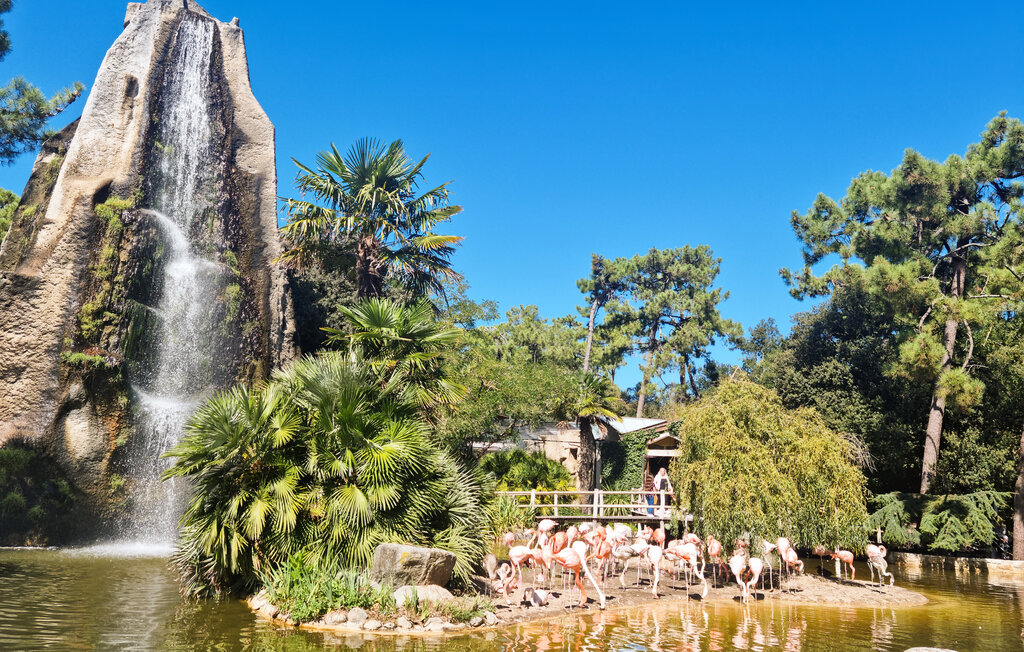 Location de vacances - Marennes d'Oléron , France - FCH391 31