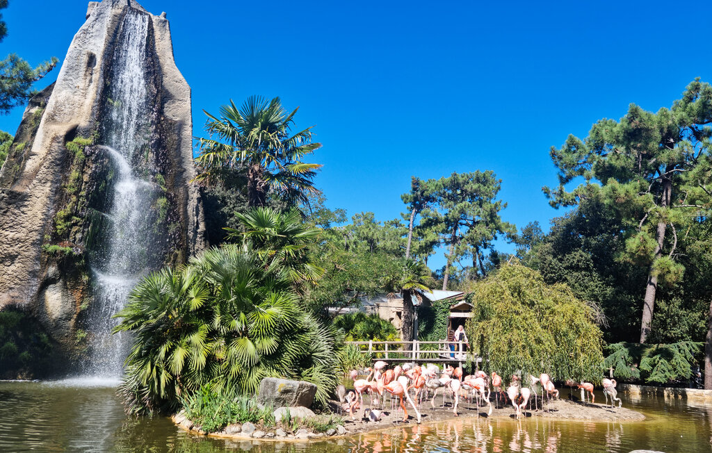 Ferienwohnung - Saint-Palais-sur-Mer , Frankreich - FCH393 22