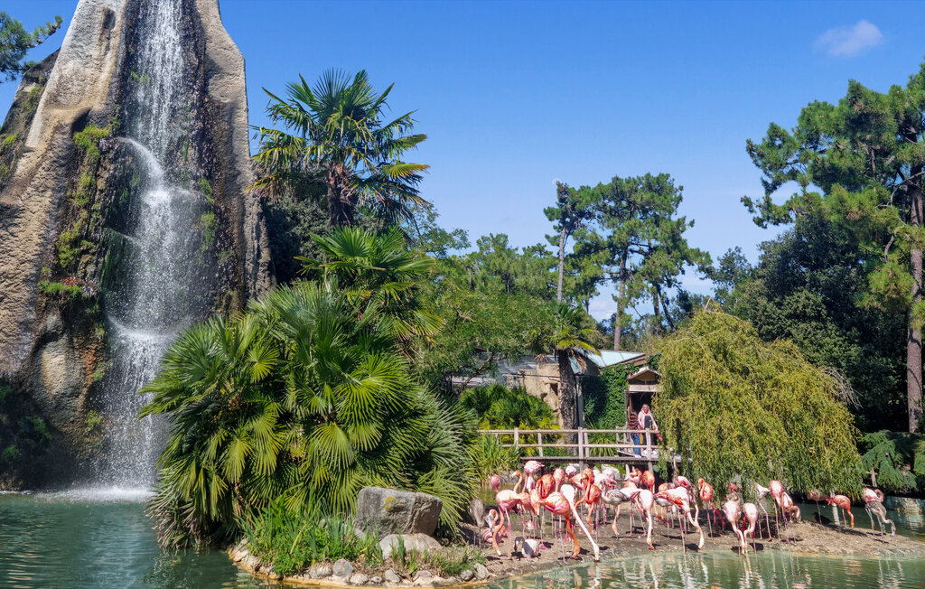 Location de vacances - Meschers-sur-Gironde , France - FCH413 35