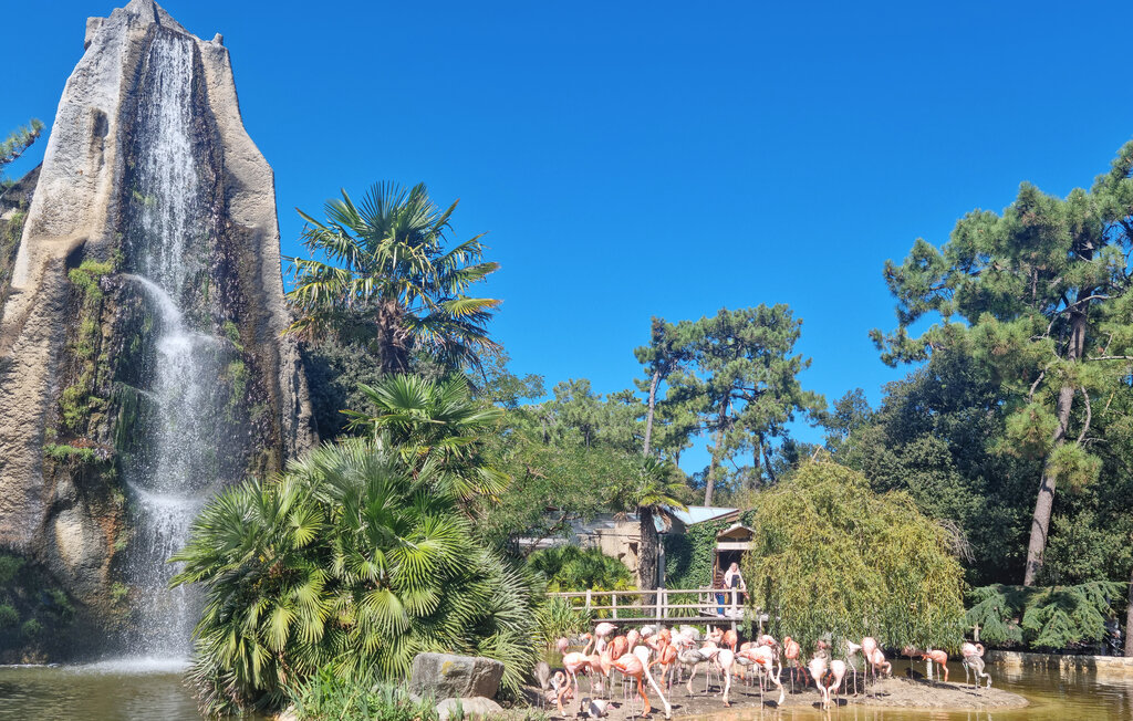 Ferienwohnung - Royan , Frankreich - FCH430 24