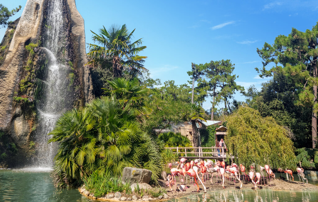 Location de vacances - Ile d'Oléron , France - FCH435 30