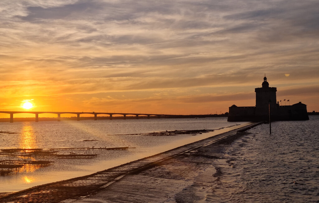 Domy wakacyjne - Meschers-sur-Gironde , Francja - FCH469 25