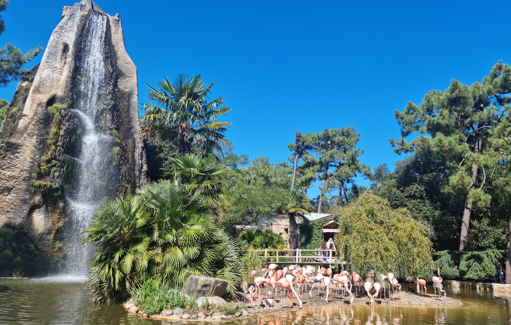 Location de vacances - Royan , France - FCH549 32