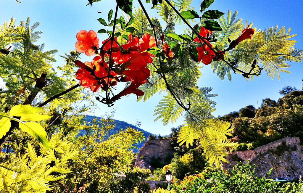 Ferieleilighet - Nyons , Frankrike - FCS521 17