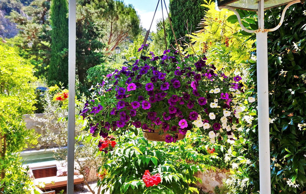 Ferieleilighet - Nyons , Frankrike - FCS521 15