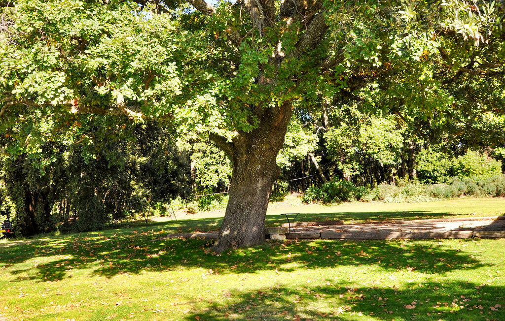 Feriehuse - Bedoin , Frankrig - FCS160 15