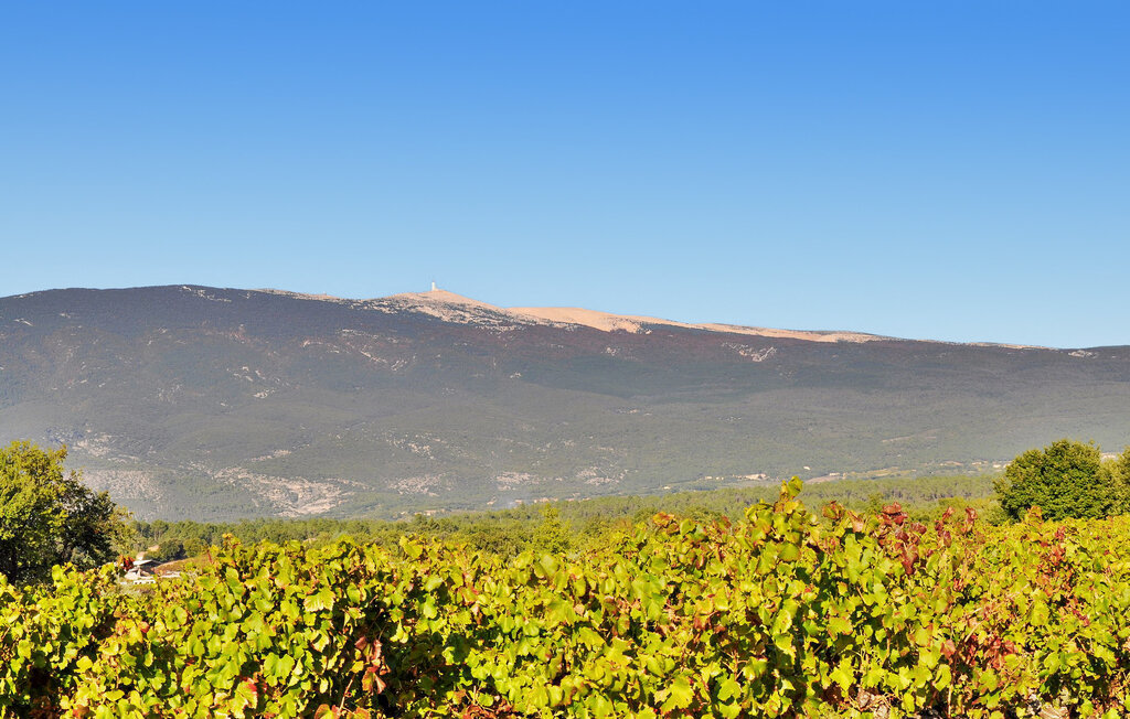 Feriehuse - Bedoin , Frankrig - FCS160 19