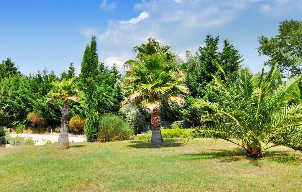 Location de vacances - Rochefort Du Gard , France - FCS357 13