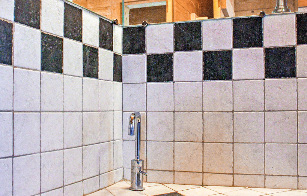 Location de vacances - Chatel , France - FCS359 35