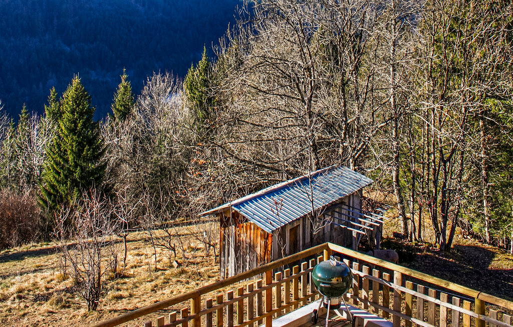 Location de vacances - Chatel , France - FCS359 18