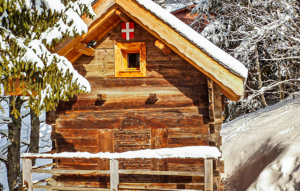 Location de vacances - Chatel , France - FCS359 19