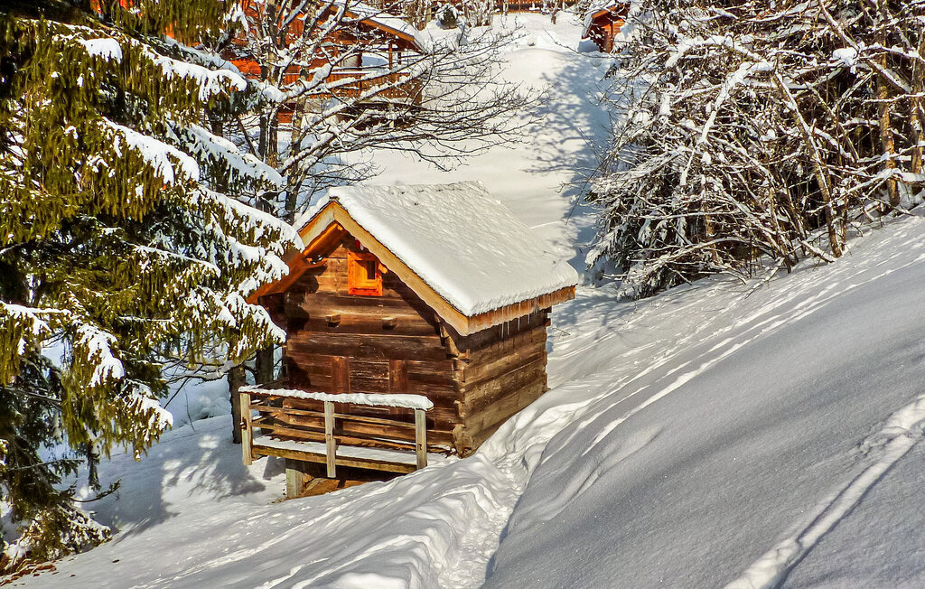 Location de vacances - Chatel , France - FCS359 20