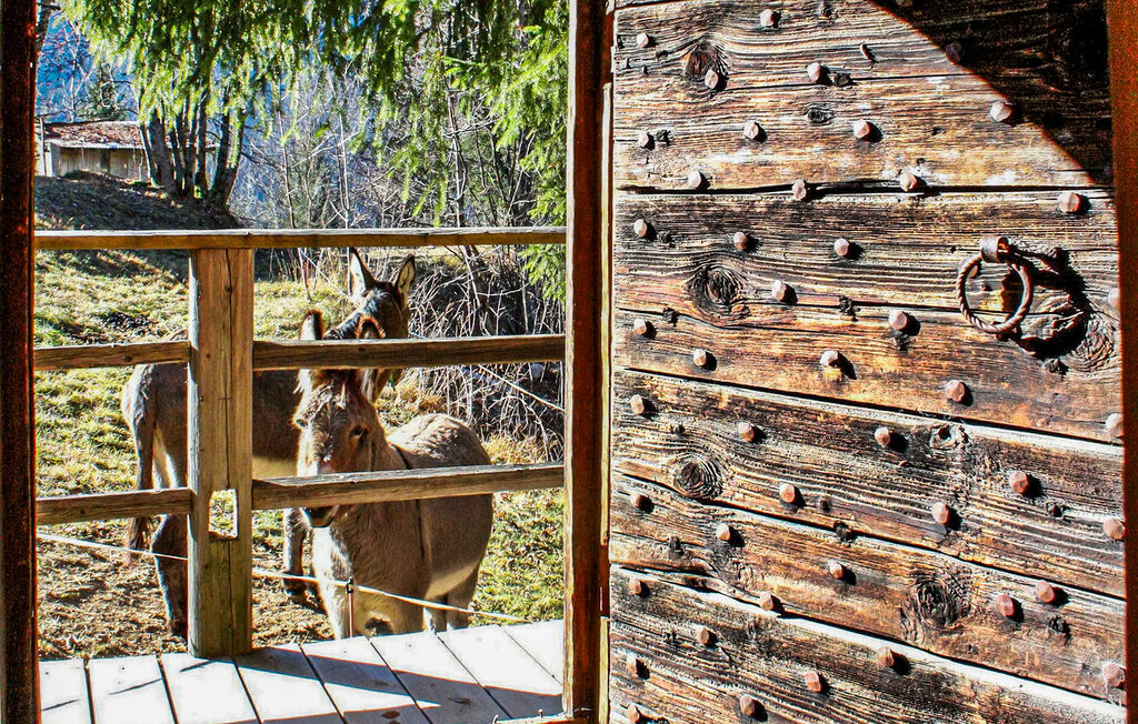 Location de vacances - Chatel , France - FCS359 21