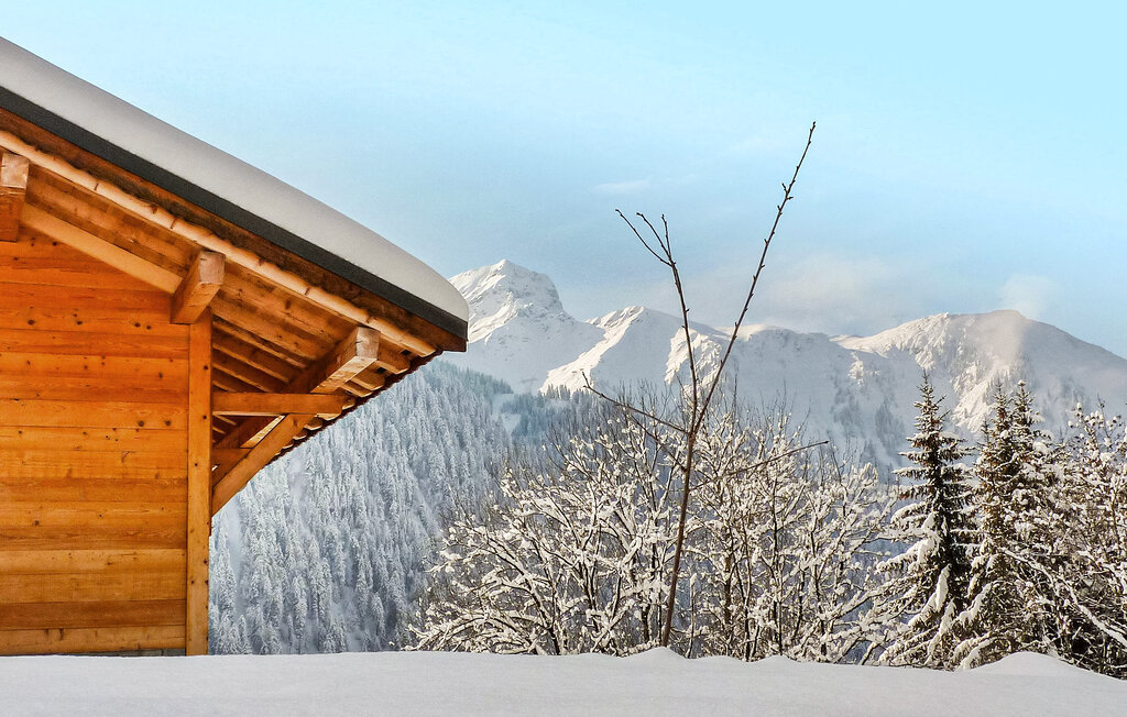 Location de vacances - Chatel , France - FCS359 22