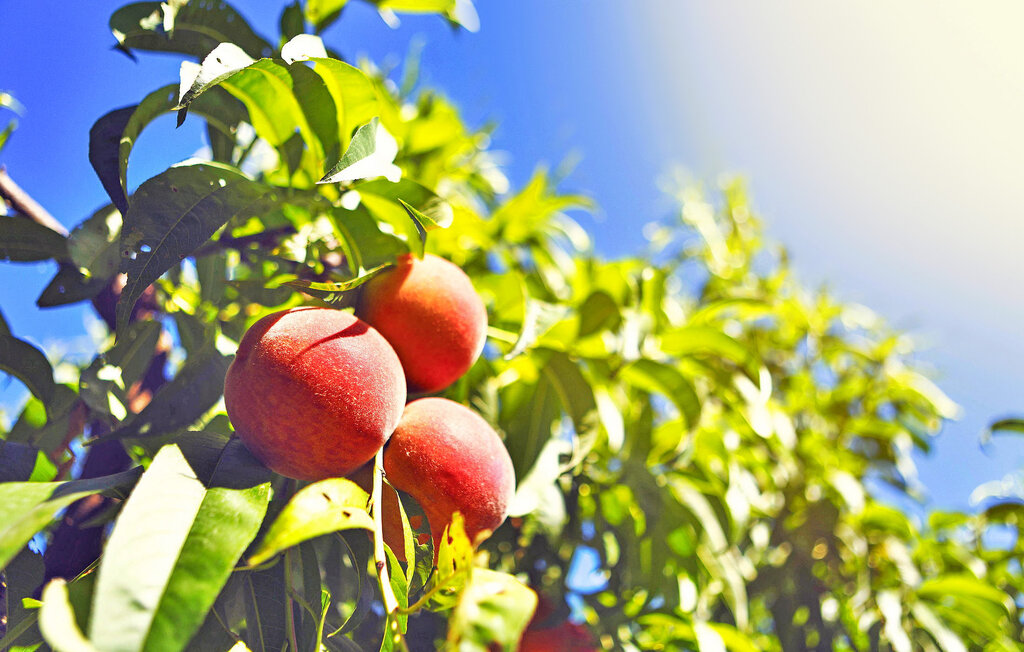 Location de vacances - Robion , France - FCS360 18