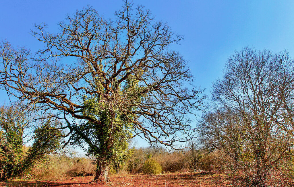 Location de vacances - Durbans , France - FCS036 35