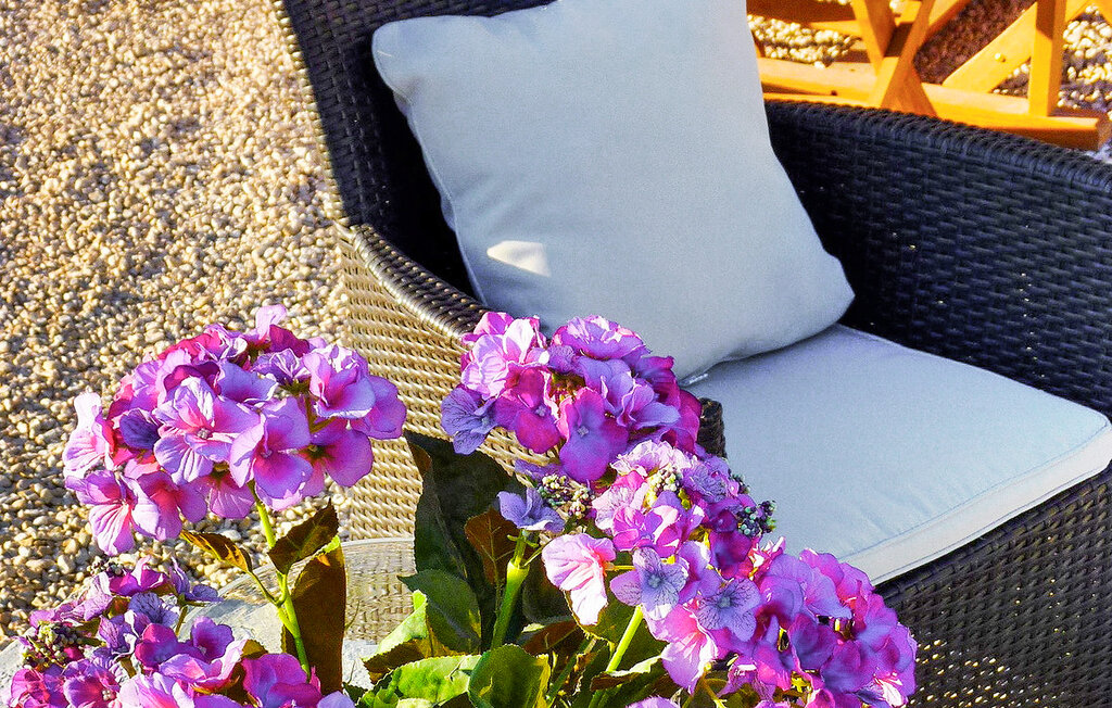 Location de vacances - Saint Martin De Crau , France - FCS361 20