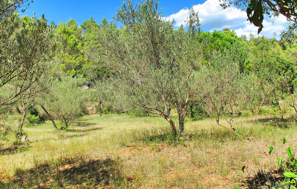 Location de vacances - Correns , France - FCS163 21