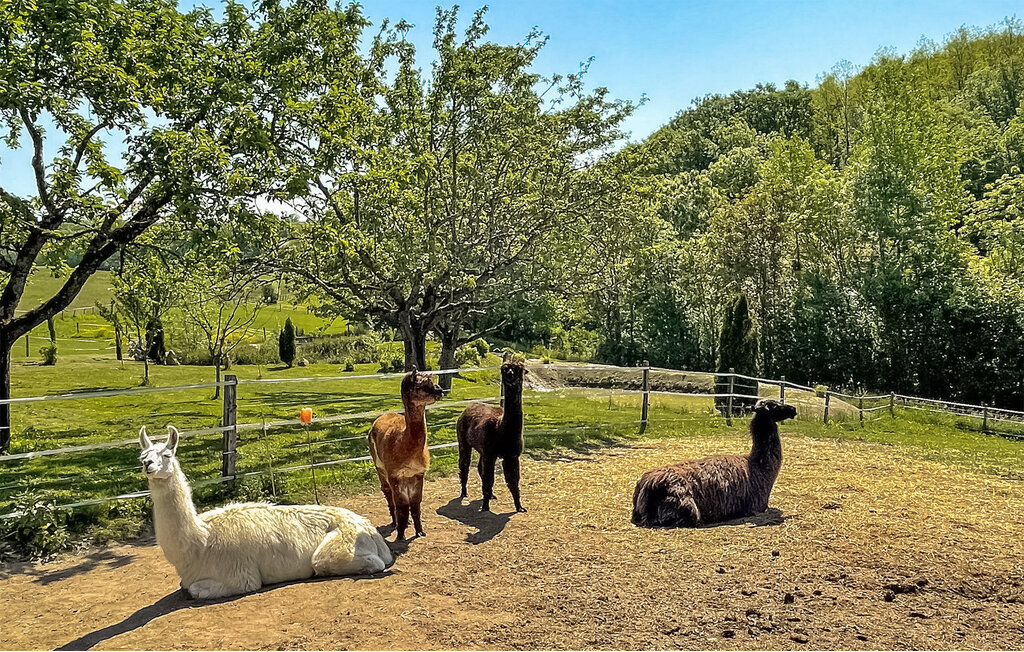 Feriehus - Vallières , Frankrike - FCS243 19