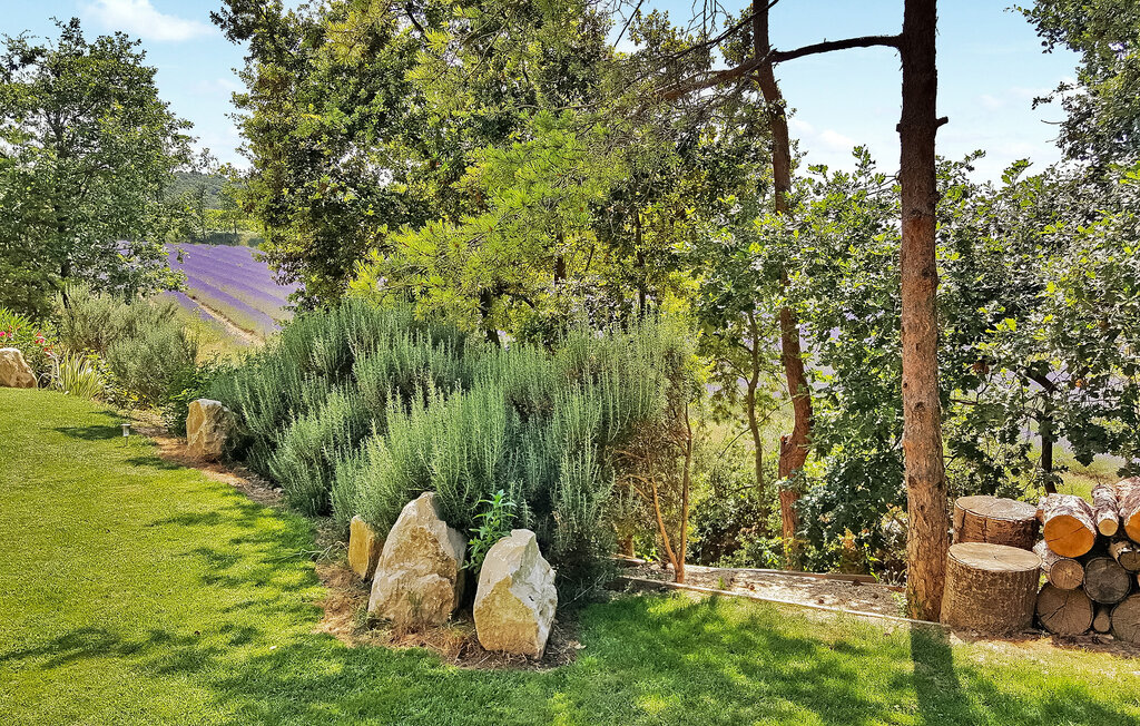 Location de vacances - Montbrison sur Léz , France - FCS435 11