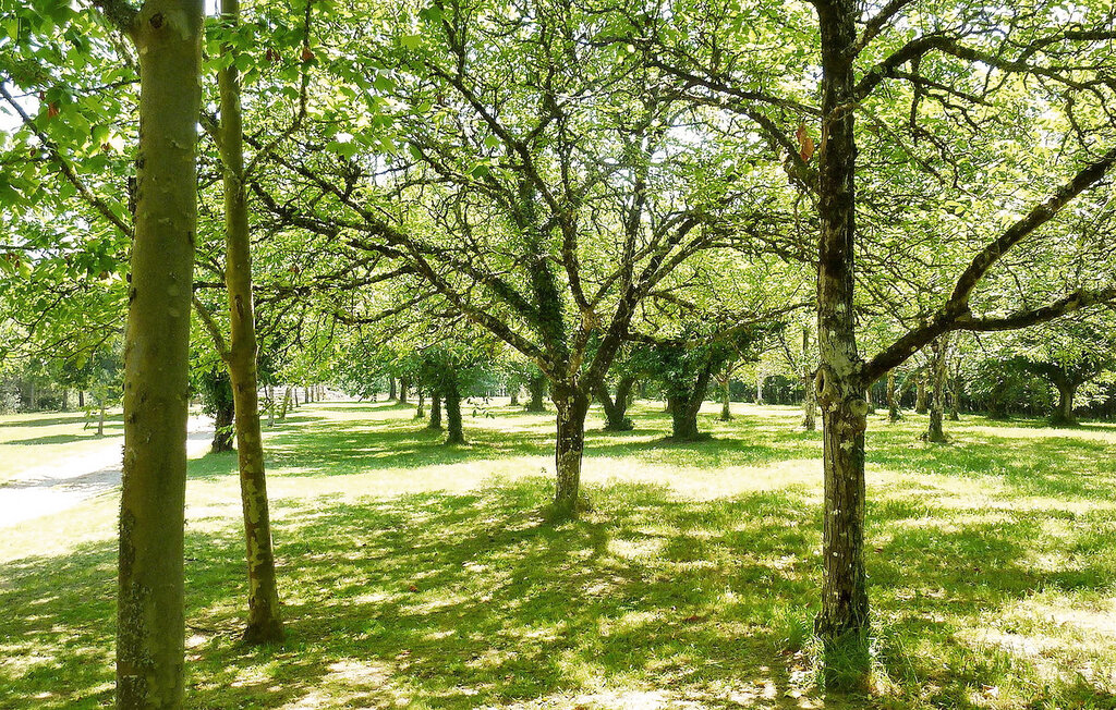 Location de vacances - Lamonzie Montastruc , France - FCS110 9