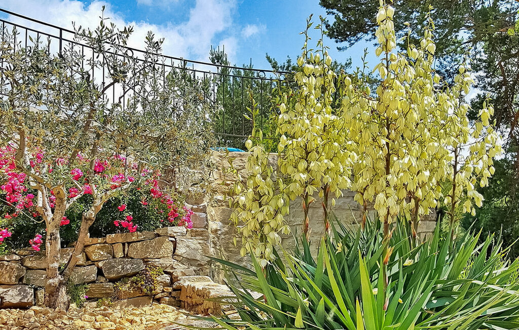 Location de vacances - Montbrison sur Léz , France - FCS435 18