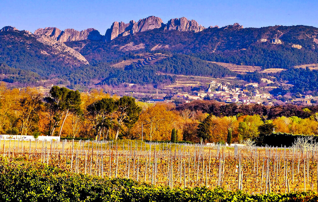 Ferienhaus - Violes , Frankreich - FCS172 39