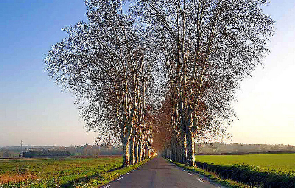 Location de vacances - Goudargues , France - FCS142 21