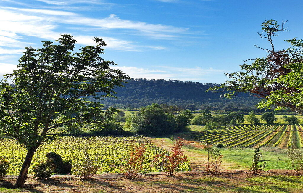 Location de vacances - Carnas , France - FCS073 13