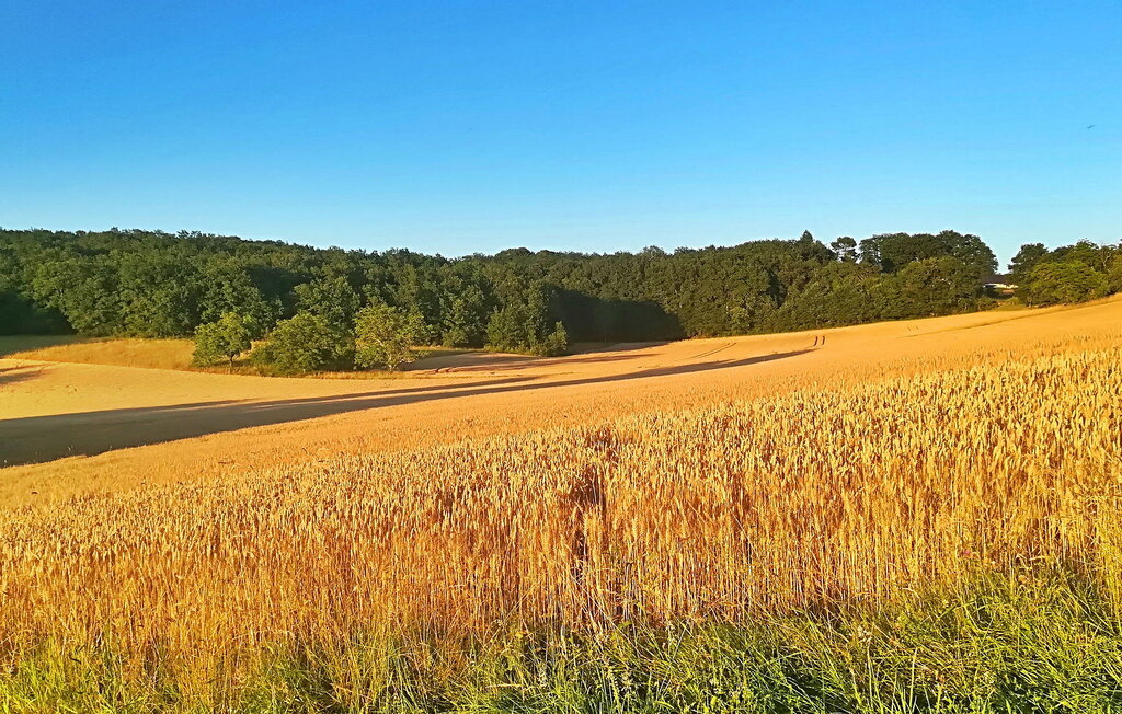 Semesterhus - Saint Cyprien , Frankrike - FCS355 28