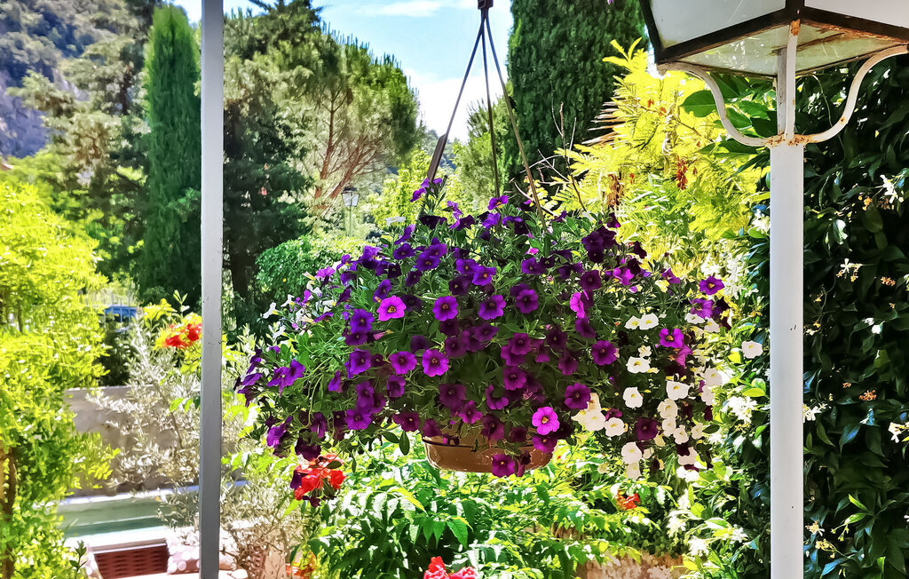 Ferienwohnung - Nyons , Frankreich - FCS522 15