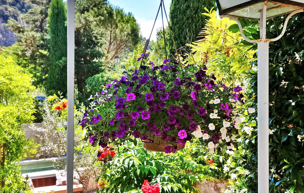 Lejlighed - Nyons , Frankrig - FCS523 10