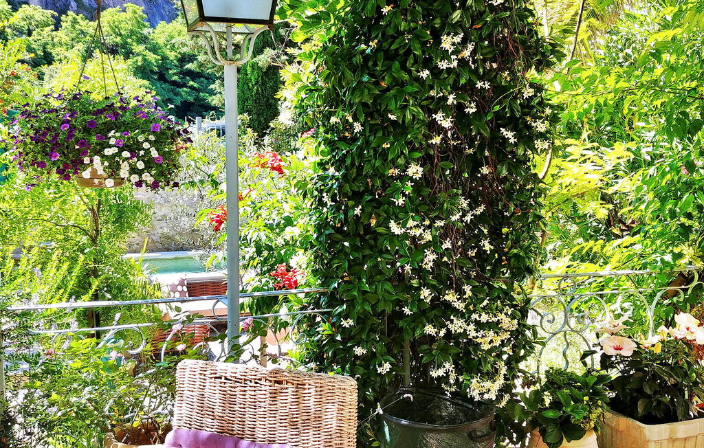 Lejlighed - Nyons , Frankrig - FCS523 11