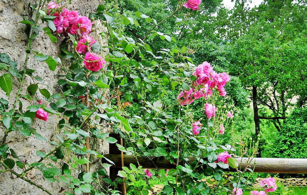 Ferienhaeuser - Montignac , Frankreich - FCS099 10