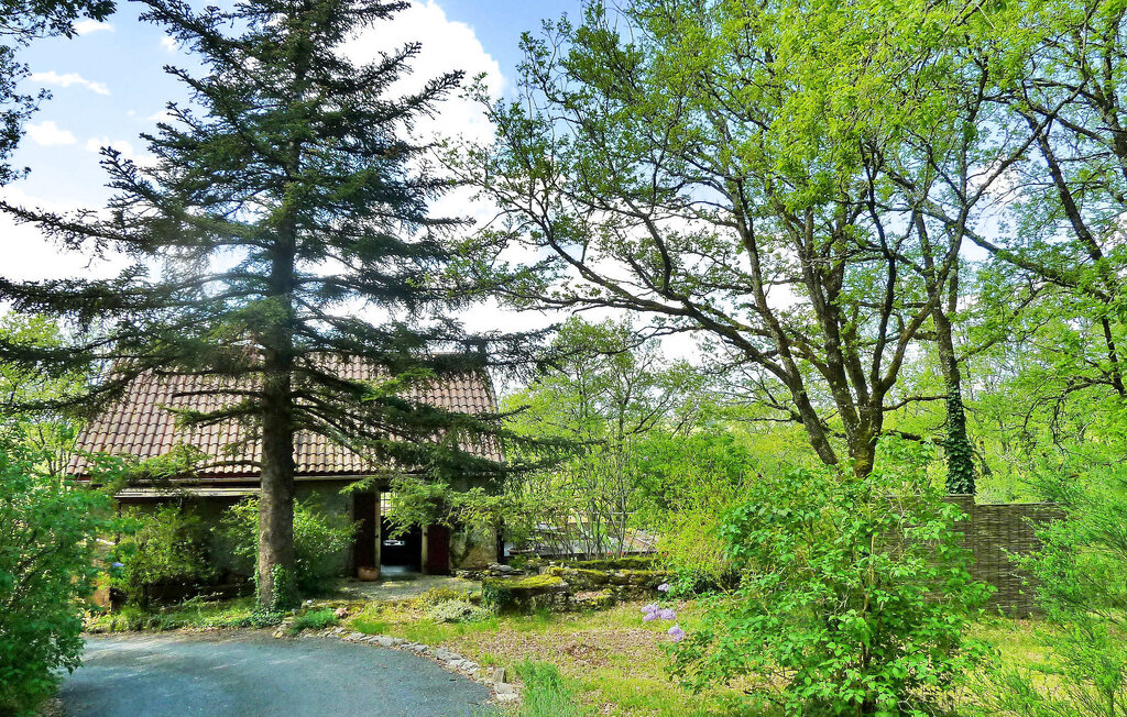 Ferienhaeuser - Montignac , Frankreich - FCS099 11