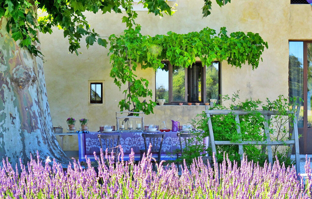 Location de vacances - Le Thor , France - FCS117 14