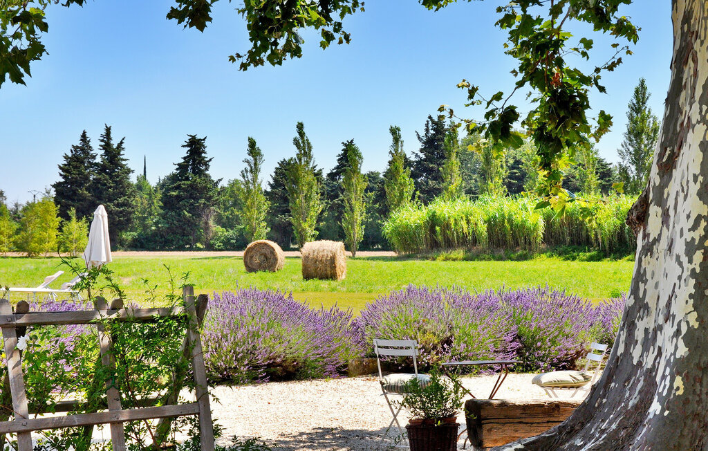 Location de vacances - Le Thor , France - FCS117 15