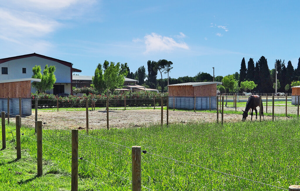 Semesterhus - Saint Remy De Provence , Frankrike - FCS158 12