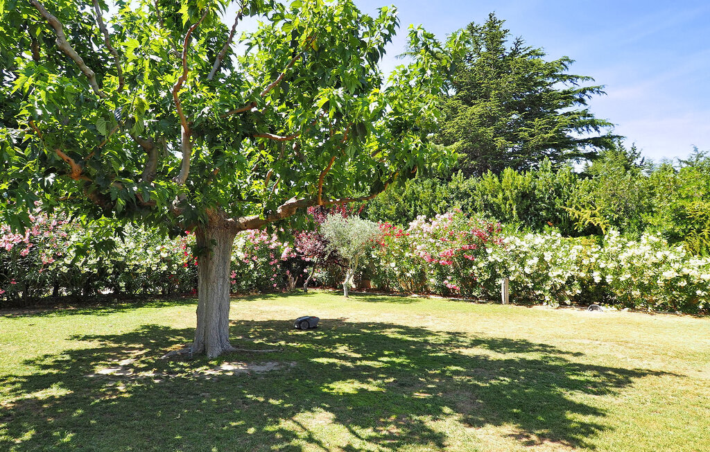 Holiday home - Paradou , France - FCS451 11
